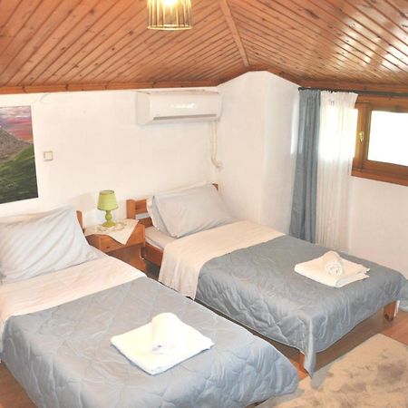Cozy Loft With Fireplace & View Metsovo Extérieur photo