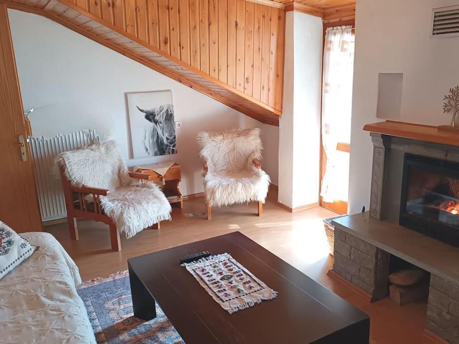 Cozy Loft With Fireplace & View Metsovo Extérieur photo
